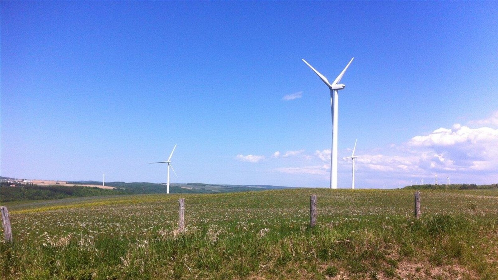 Un parc éolien.