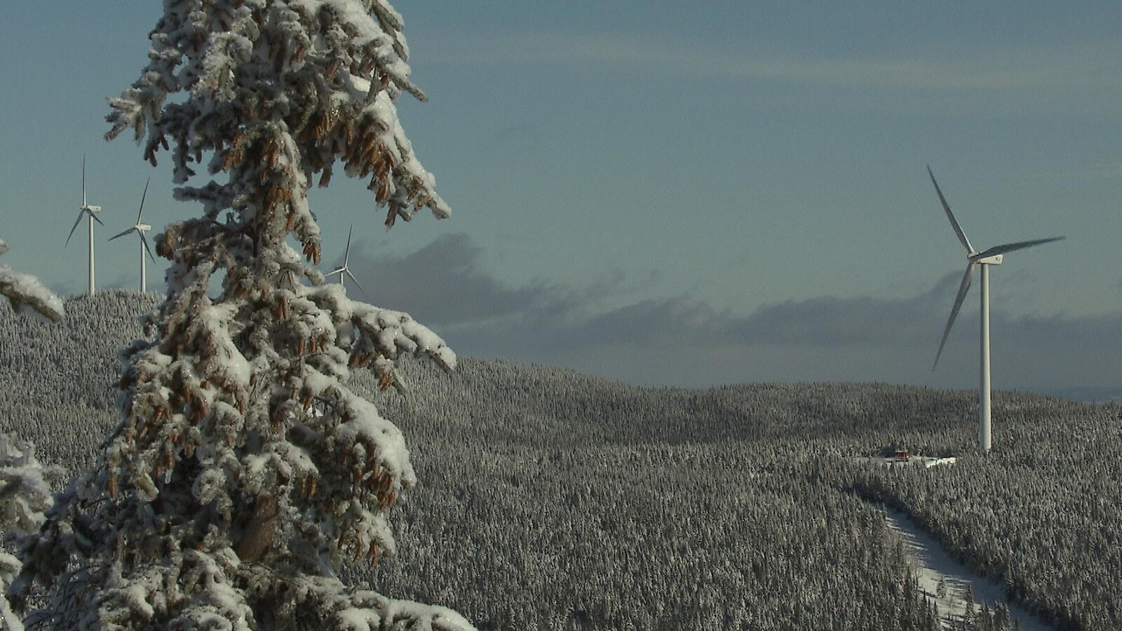 Des éoliennes dans un paysage hivernal