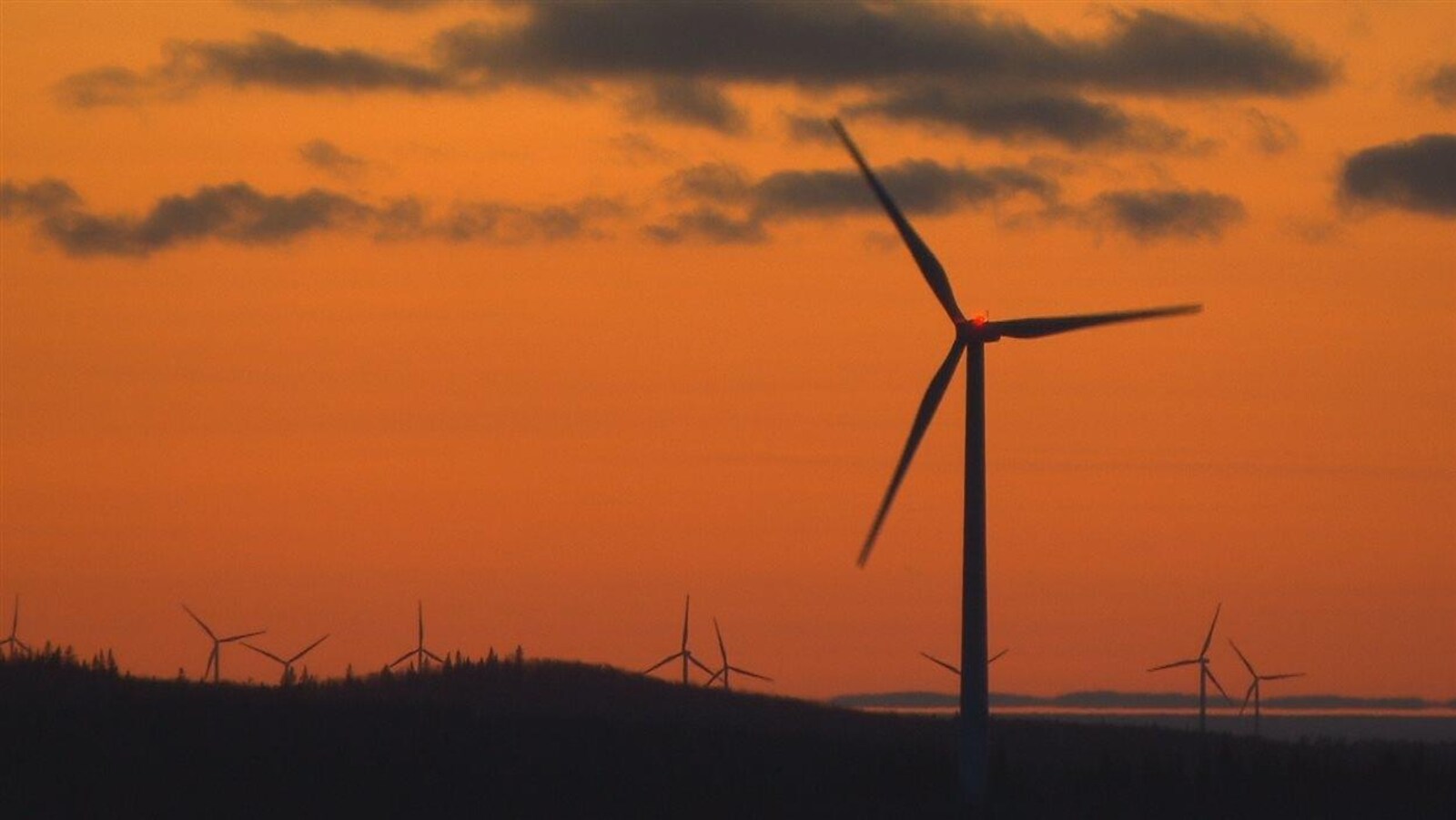 Parc éolien et coucher de soleil