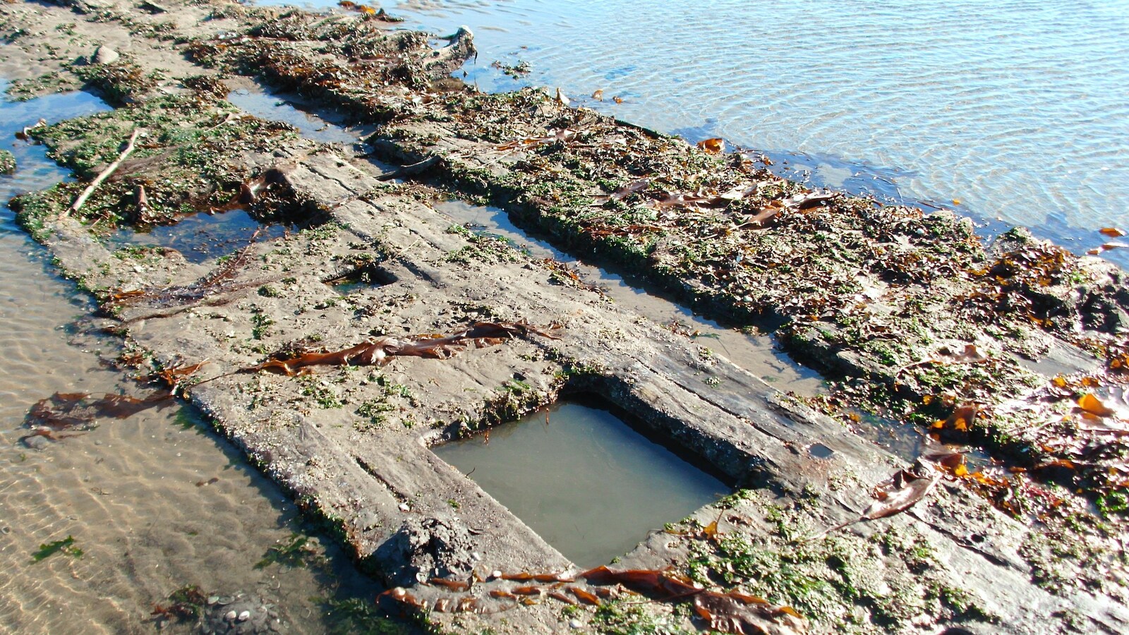 Une autre épave découverte en HauteCôteNord ICI RadioCanada.ca