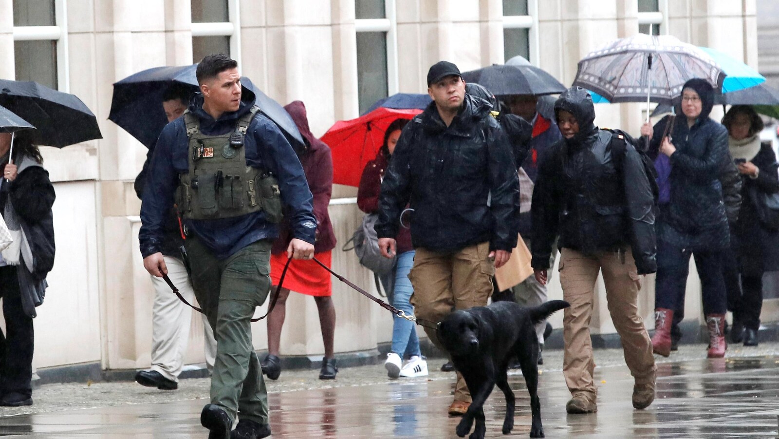 Une patrouille de police avec chien renifleur à l'extérieur du palais de justice, alors qu'on voit des gens avec des parapluies derrière.