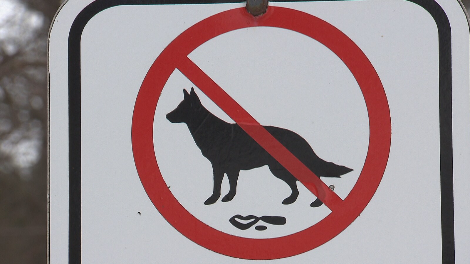 Une affiche interdisant aux propriétaires de chiens de laisser les excréments dans la nature