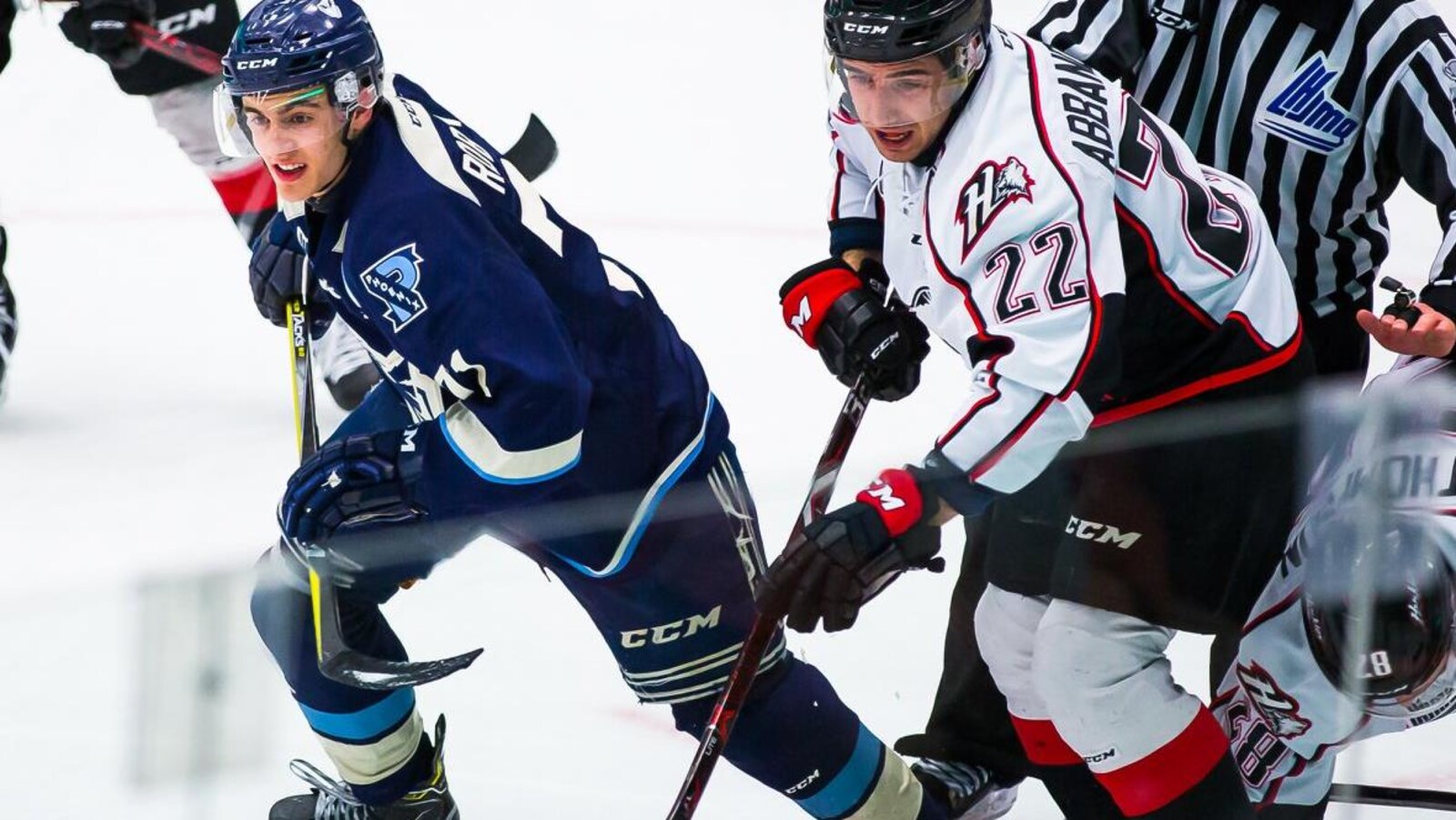 Peter Abbandonato des Huskies de Rouyn-Noranda