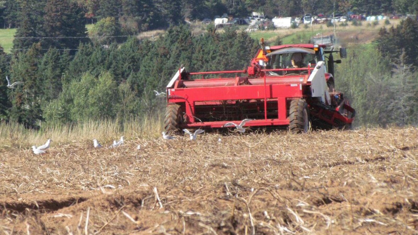 Un tracteur coupe du foin dans un champ.