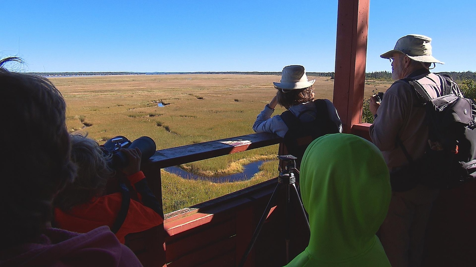 L'observation d'oiseaux charme les petits et les grands.