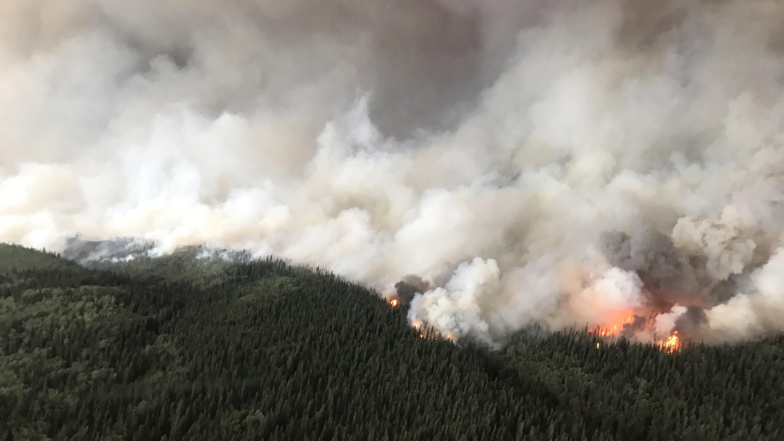 Vue aérienne d'une forêt en feu sous un panache de fumée.
