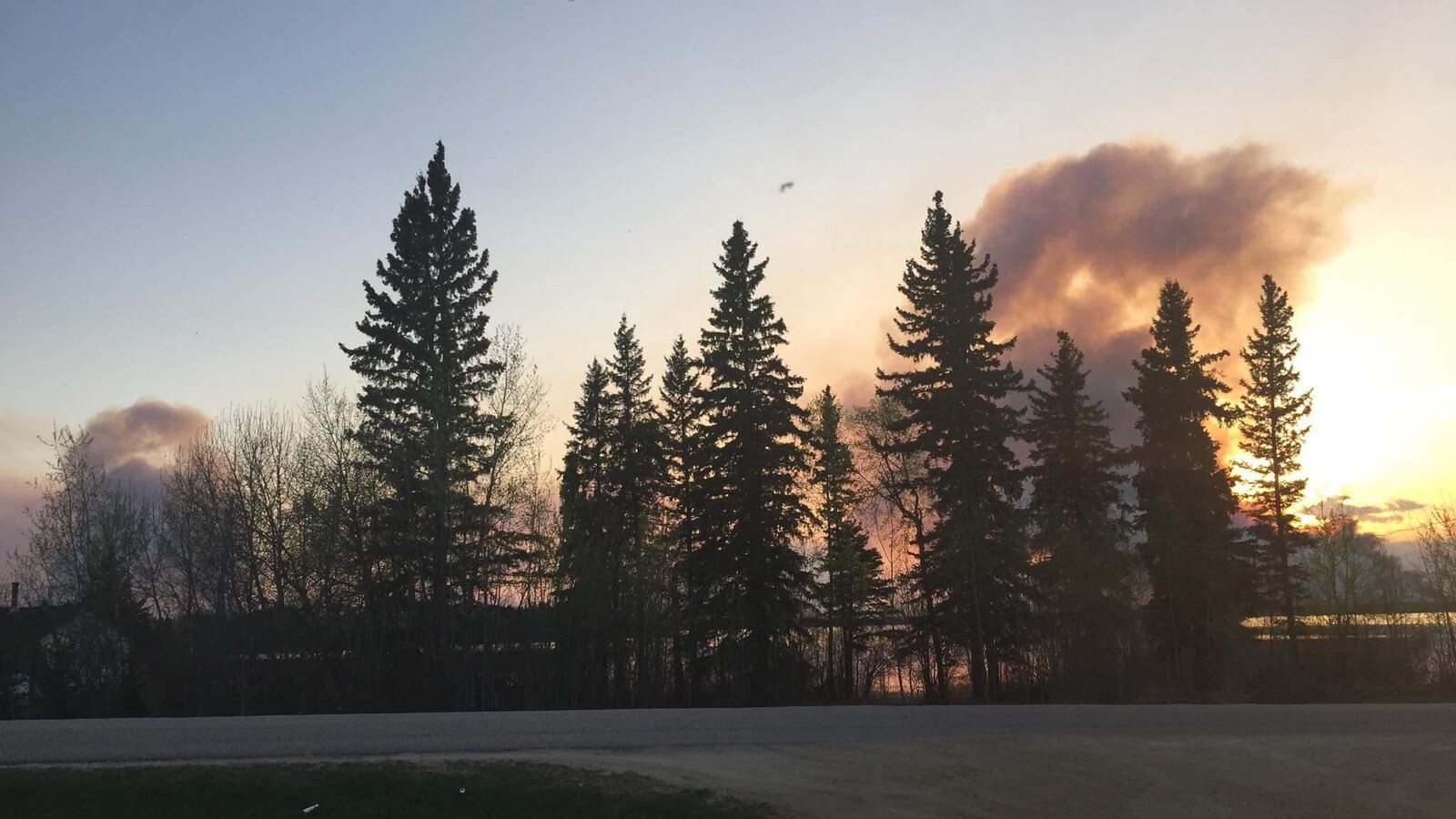 Des nuages de fumée sont dans le ciel au soleil couchant derrière des arbres.