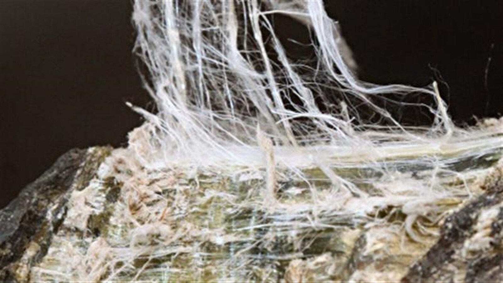 Fibre d'amiante chrysotile
