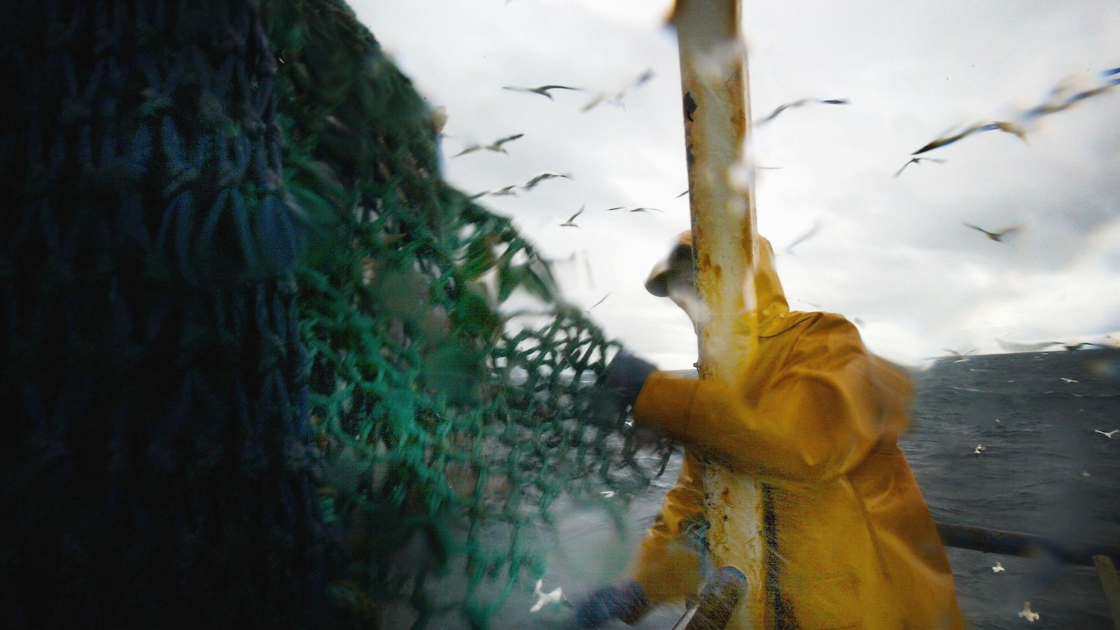 Un pÃªcheur dans un chalutier manipule un filet