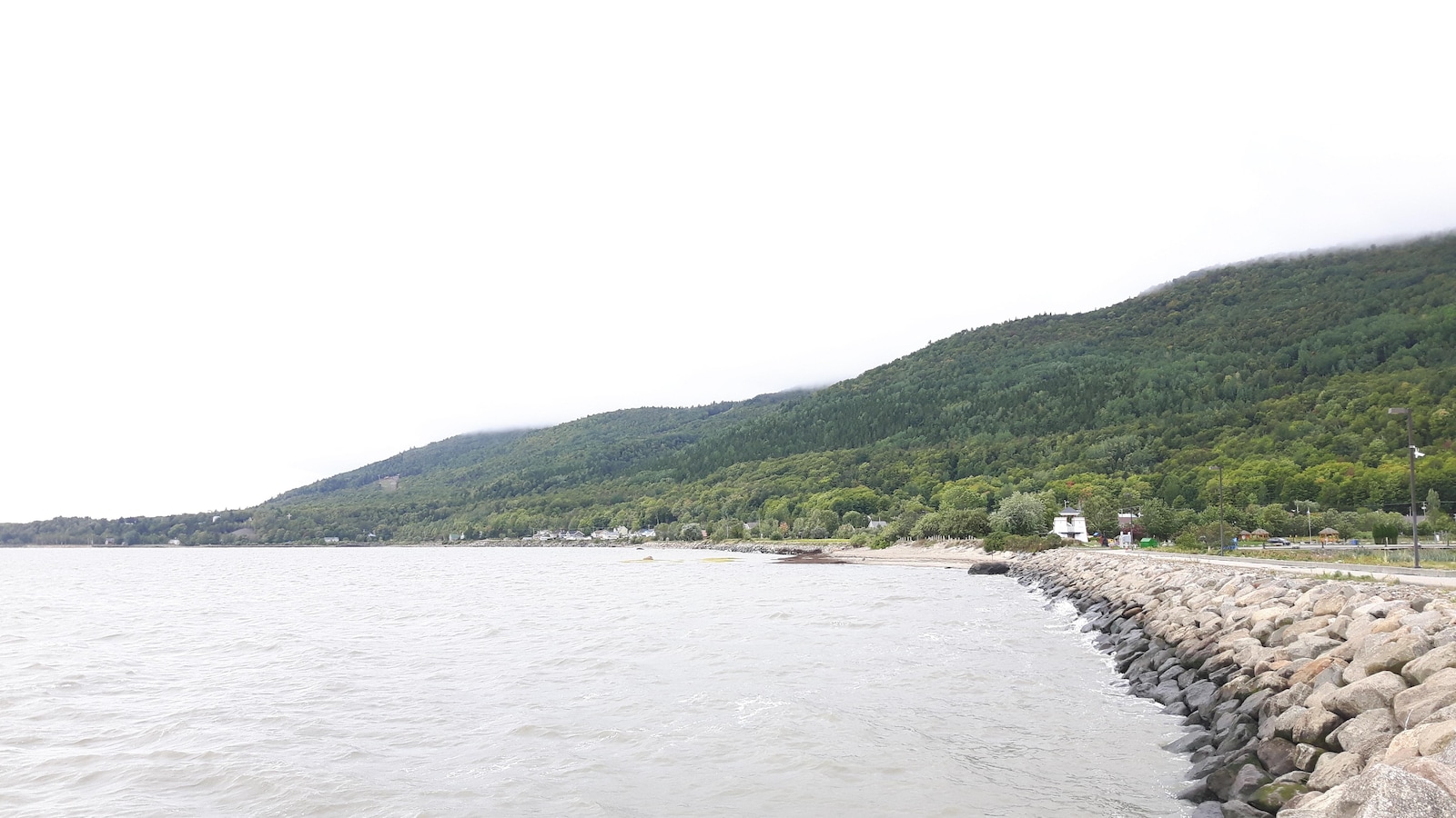 Une partie de la forêt du Massif à Petite-Rivière-Saint-Français, où sera construit le futur Club Med Québec Charlevoix