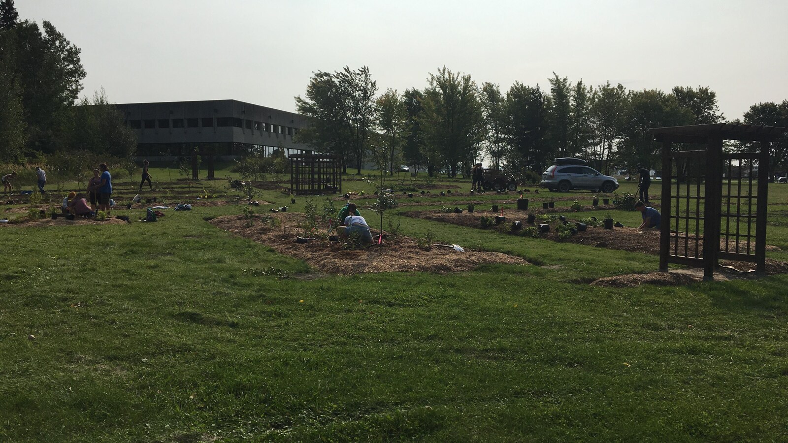 Site de la forêt nourricière sur les terrains du Cégep de Saint-Félicien
