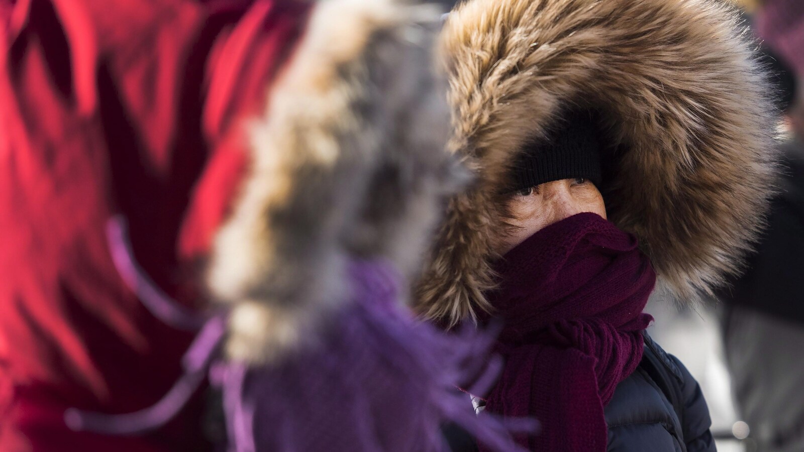 Deux femmes se couvrent les joues d'un foulard en plus du capuchon de leur manteau.