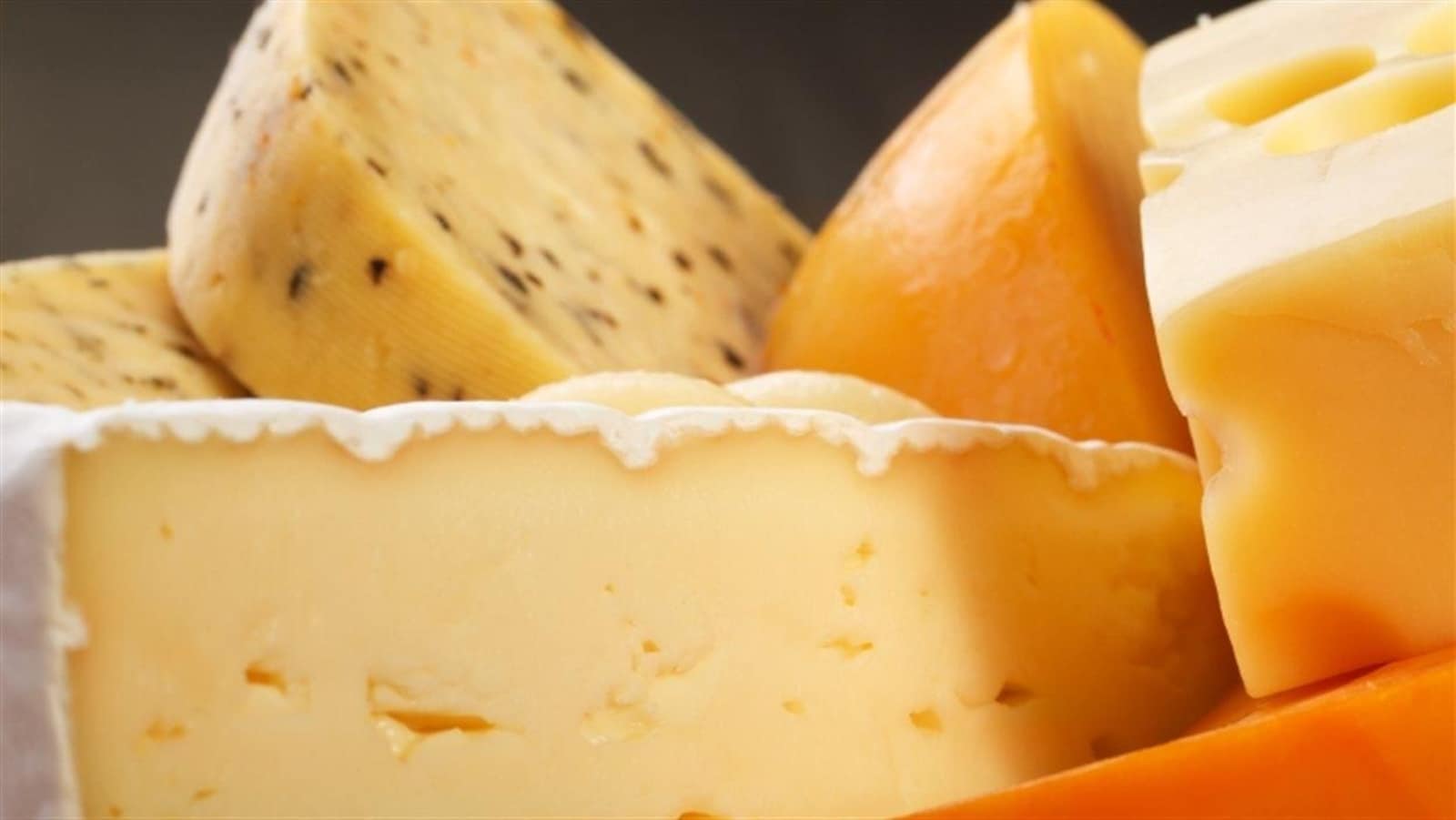 Divers fromages, dont un brie, un fromage suisse et un havarti, présentés en gros plan.