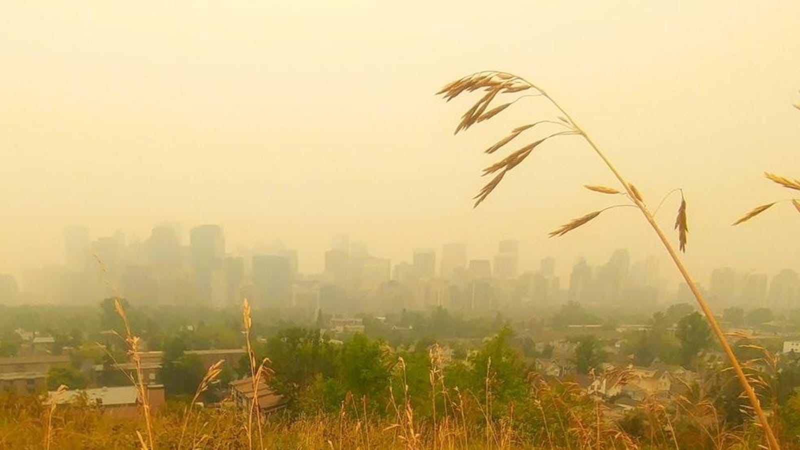 Vue sur une ville avec des bâtisses qu'on ne voit à peine en raison de la fumée.