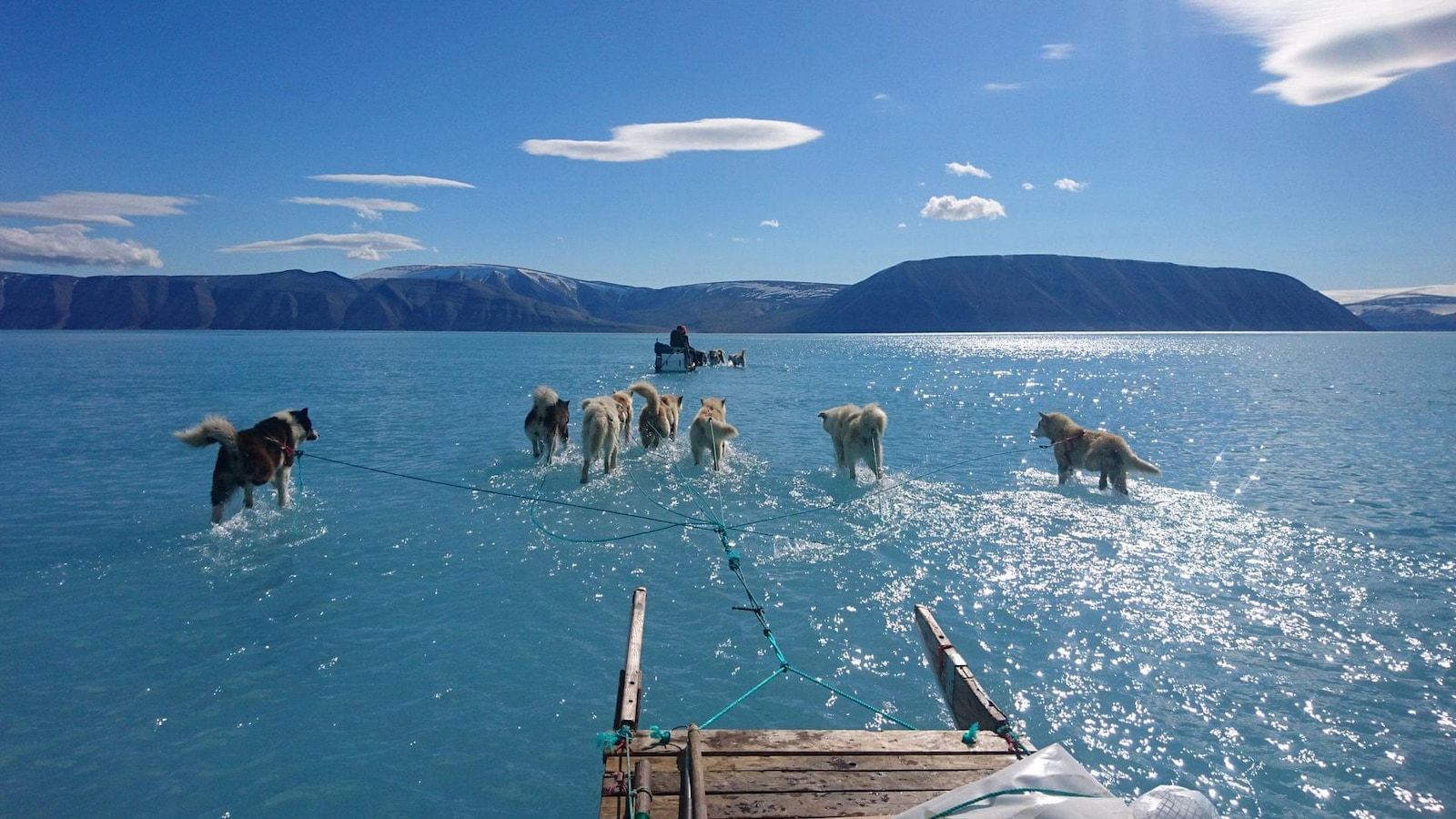Des chiens et des traîneau avancent sur la glace dans un bras de mer recouvert de quelques centimètres d'eau.