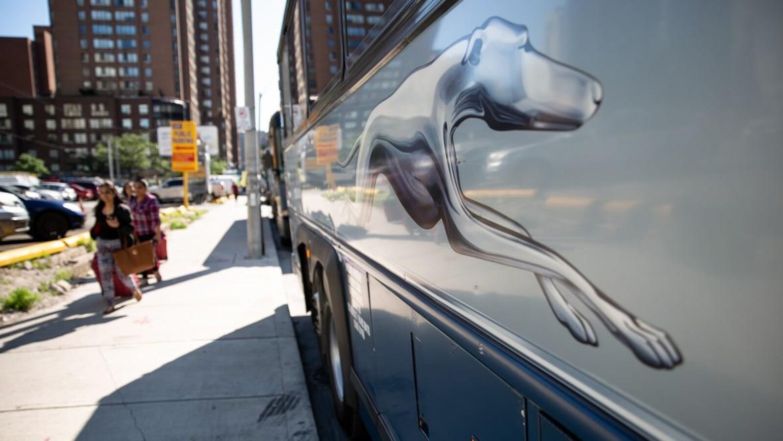 Le logo de la compagnie de transport Greyhound sur un autocar stationné au bord de la route en milieu urbain.