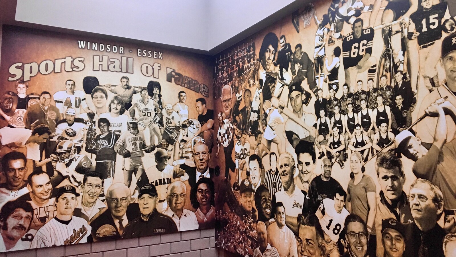 Un mur des célébrités dans un aréna.