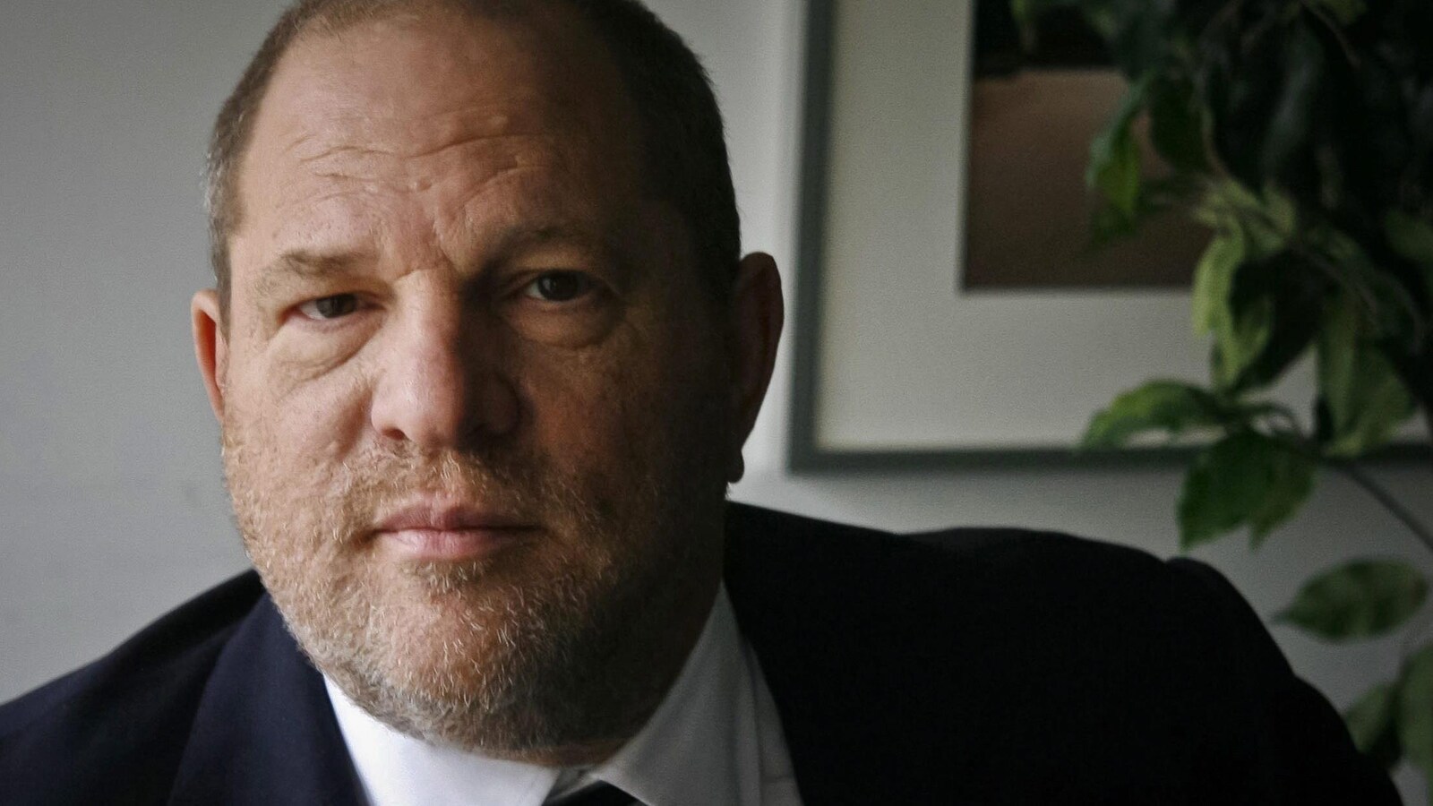 Le producteur Harvey Weinstein le 23 novembre 2011.