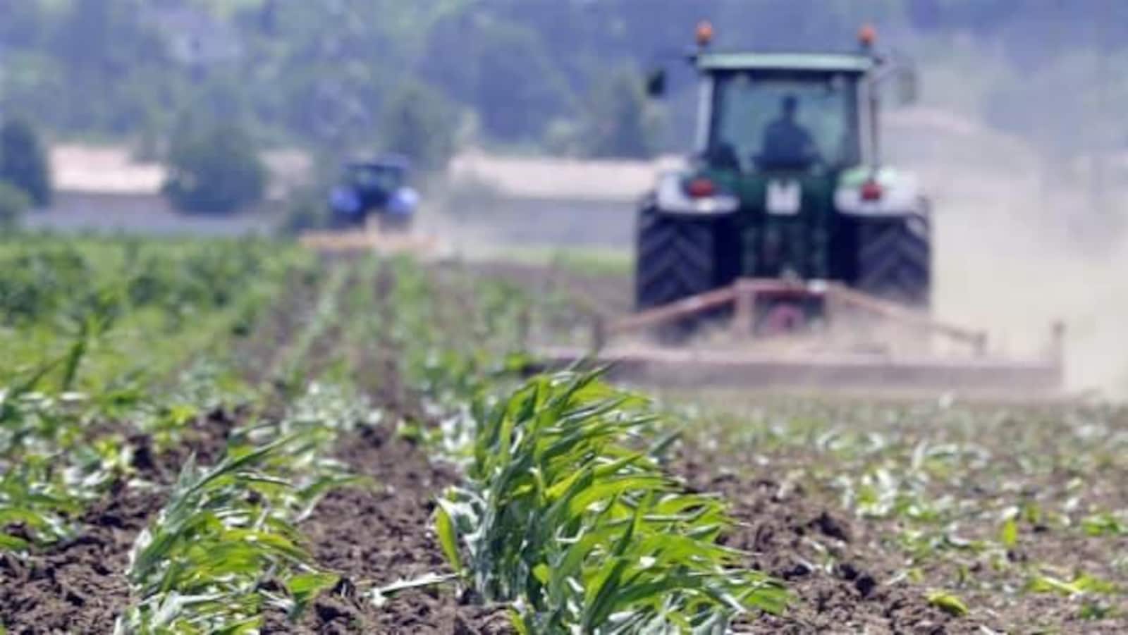 Un tracteur dans un champ de céréales.