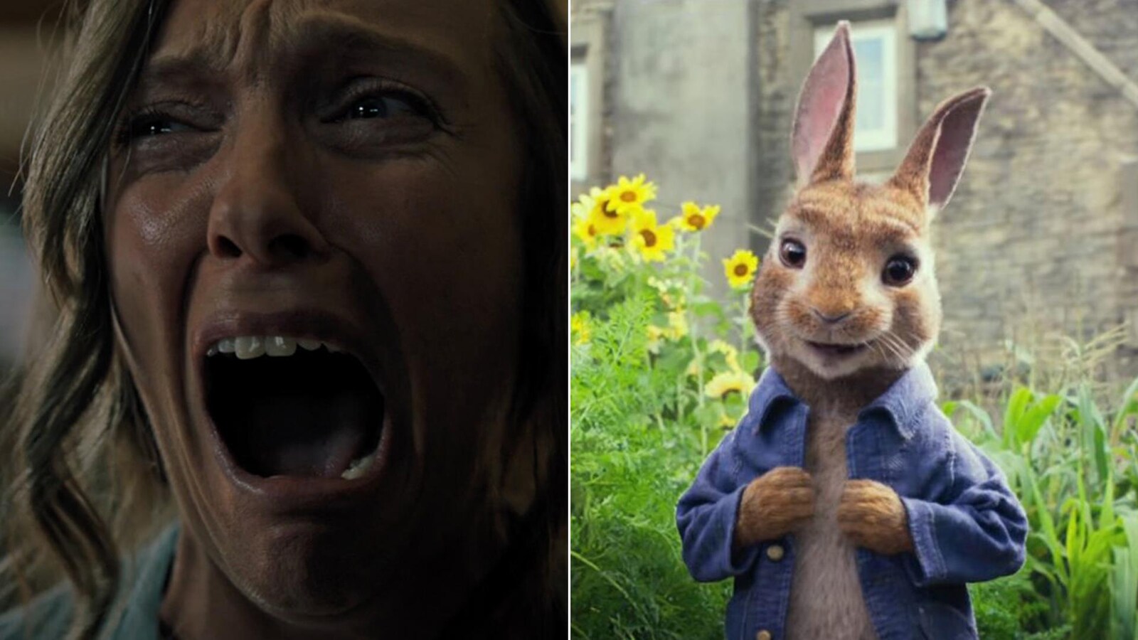 Deux images tirées des films «Hérédité» et «Pierre Lapin»: dans la première, on peut voir une femme horrifiée qui crie, tandis que, dans la seconde, on aperçoit Pierre Lapin, un sympathique lapin animé.