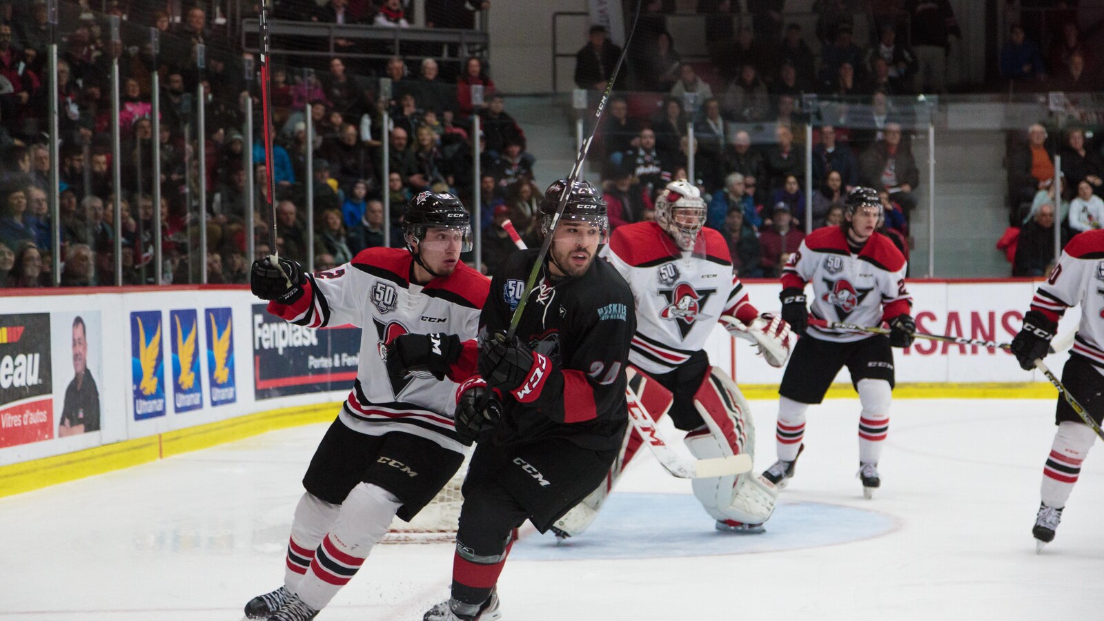 joueurs de hockey en action