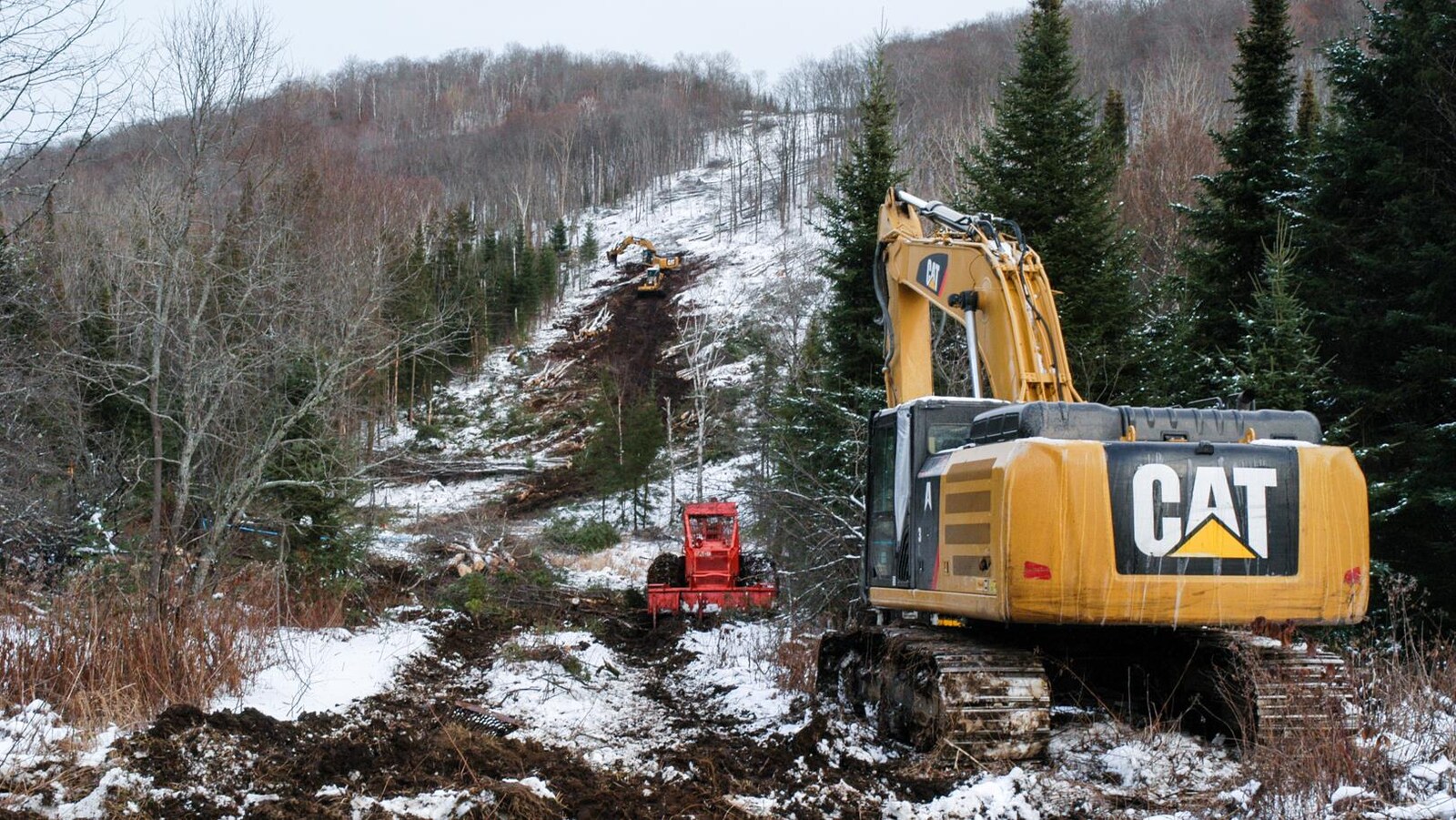 Une pelle mécanique travaille au déboisement d'un terrain forestier un peu enneigé.