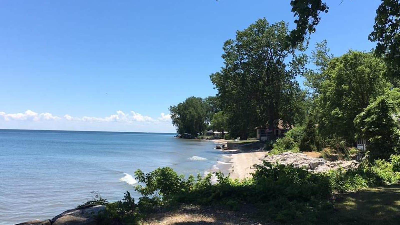 Vue d'une plage ombragée par des arbres