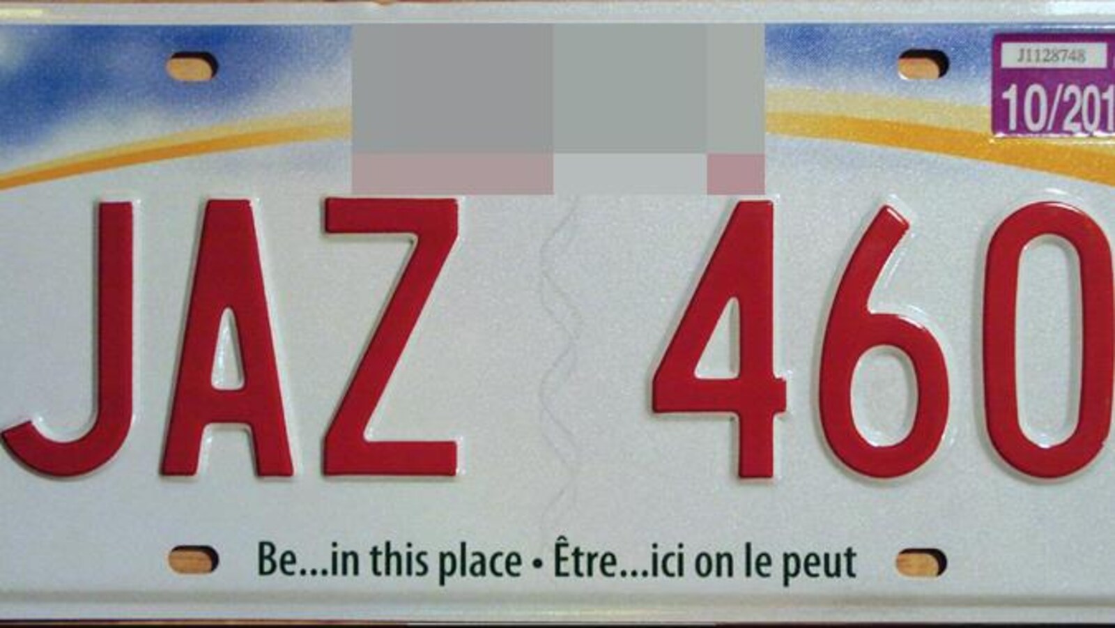 Plaque D'immatriculation Décorative Canada Brunswick - 15x30 Cm - Étain Recyclé - Décoration Murale Vintage - 3