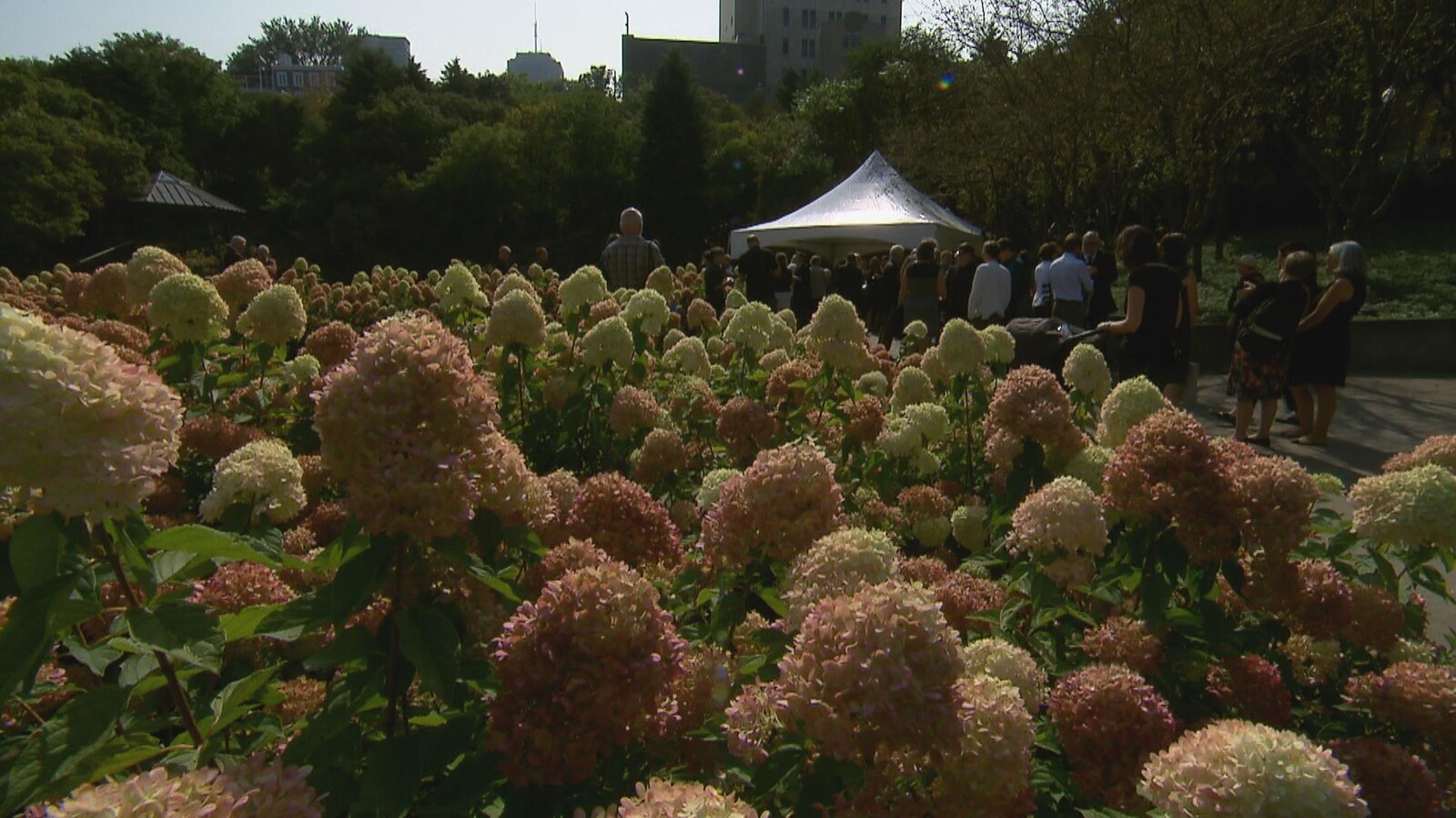 Inauguration du jardin Jean-Paul-L'Allier.