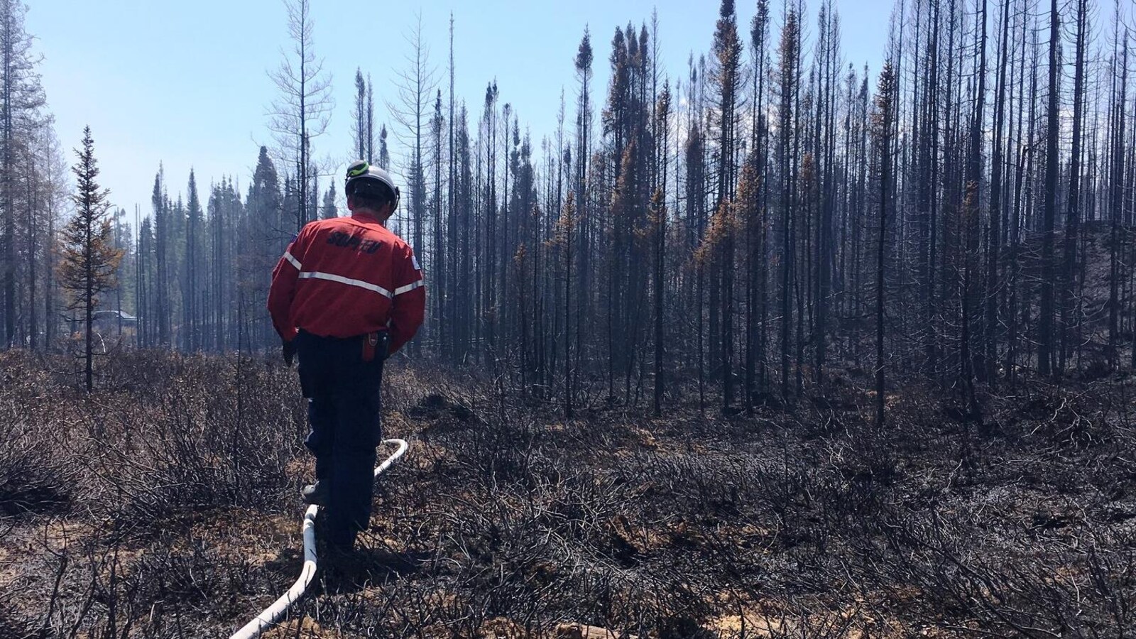 Un pompier dans la forêt brûlée.