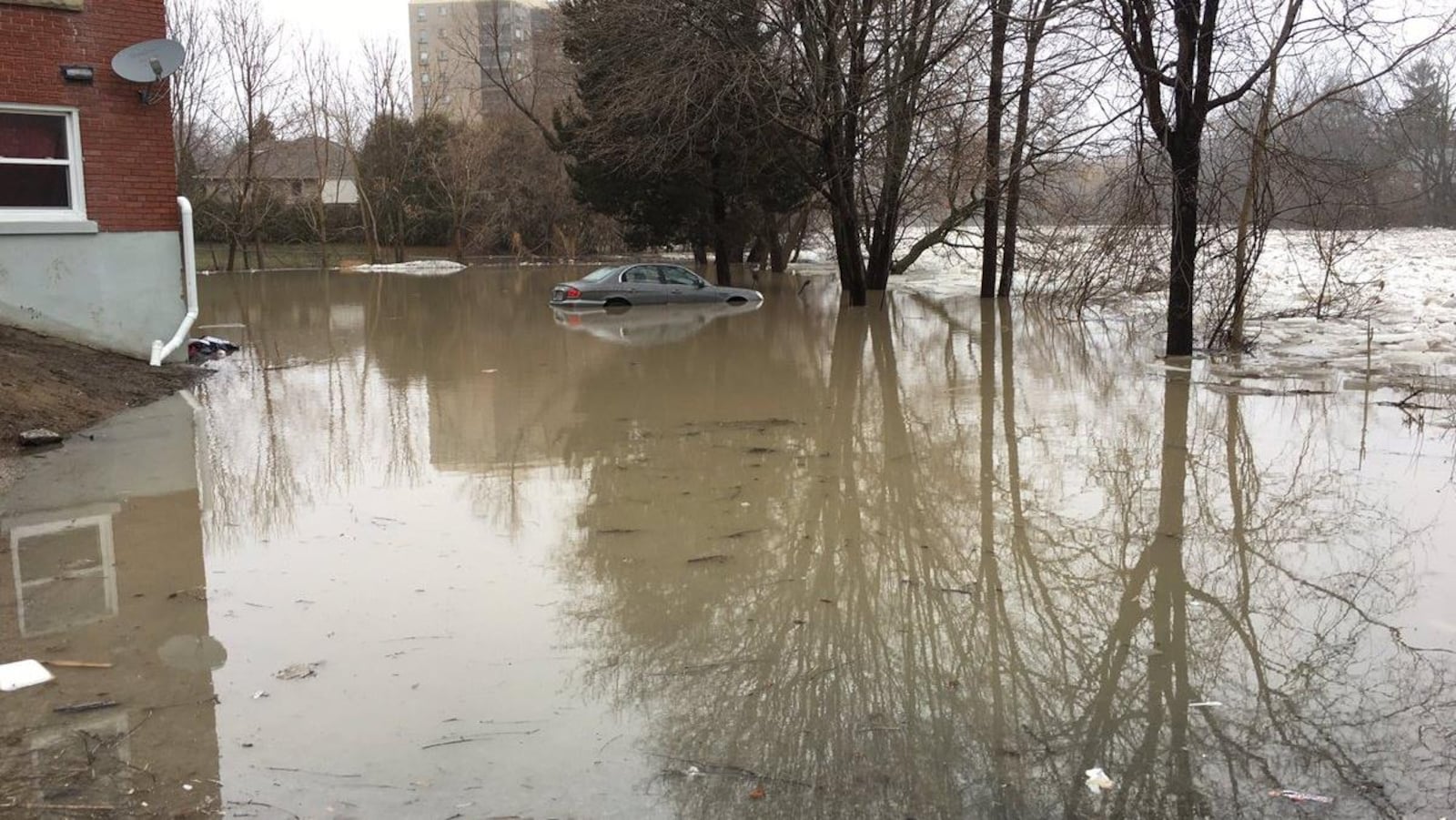 Les roues d'un véhicule sont presque entièrement submergées d'eau qui déborde d'une rivière. On voit l'automobile dans un stationnement de logement.
