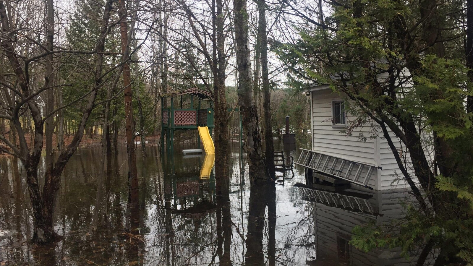 Un terrain inondé près de la rivière Magog.