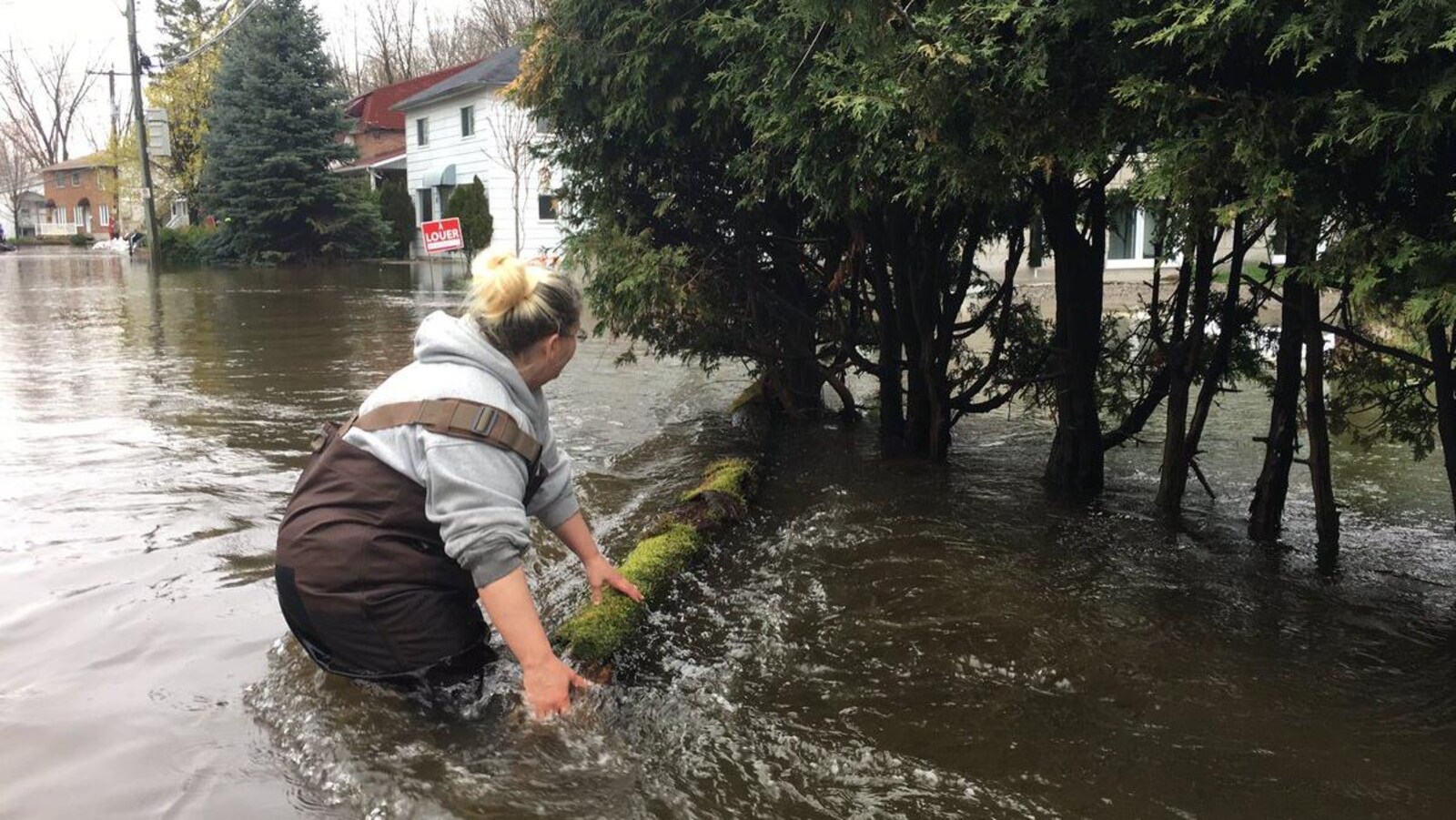 Une femme redirige un billot de bois. Elle a de l'eau jusqu'à la taille.