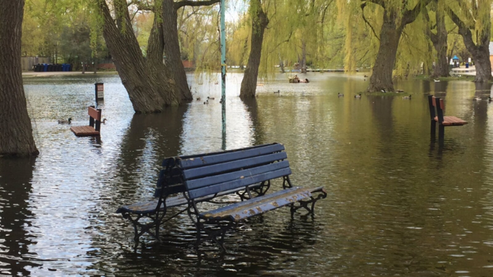 Photo des inondations : difficile de s'asseoir sur un banc sans avoir les pieds dans l'eau.