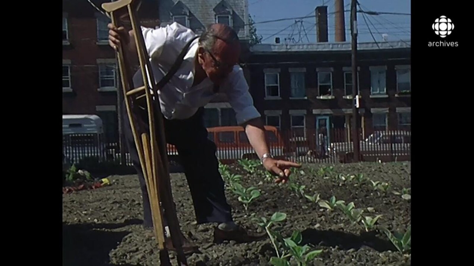 Vieil homme qui tient ses béquilles d'une main et pointe de l'autre de jeunes plants dans un jardin communautaire bordée d'une rue du Centre-Sud de Montréal.