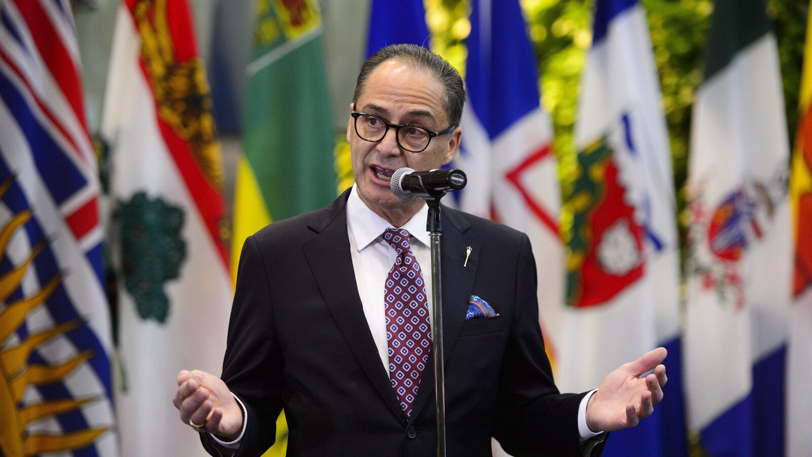 Joe Ceci est debout au micro devant une rangée de drapeaux provinciaux.
