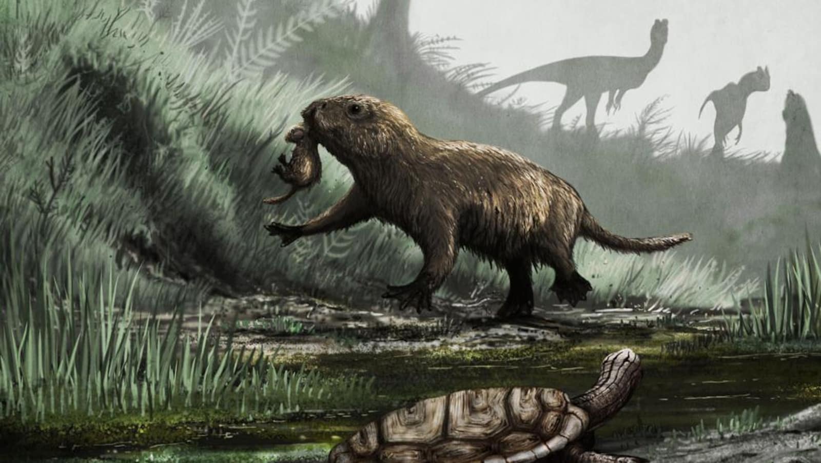 Représentation artistique de la vie d’un Kayentatherium, un mammifère semi-aquatique qui vivait à au Jurassique. À l’arrière apparaissent des Dilophosaurus, un prédateur redoutable de l’époque.