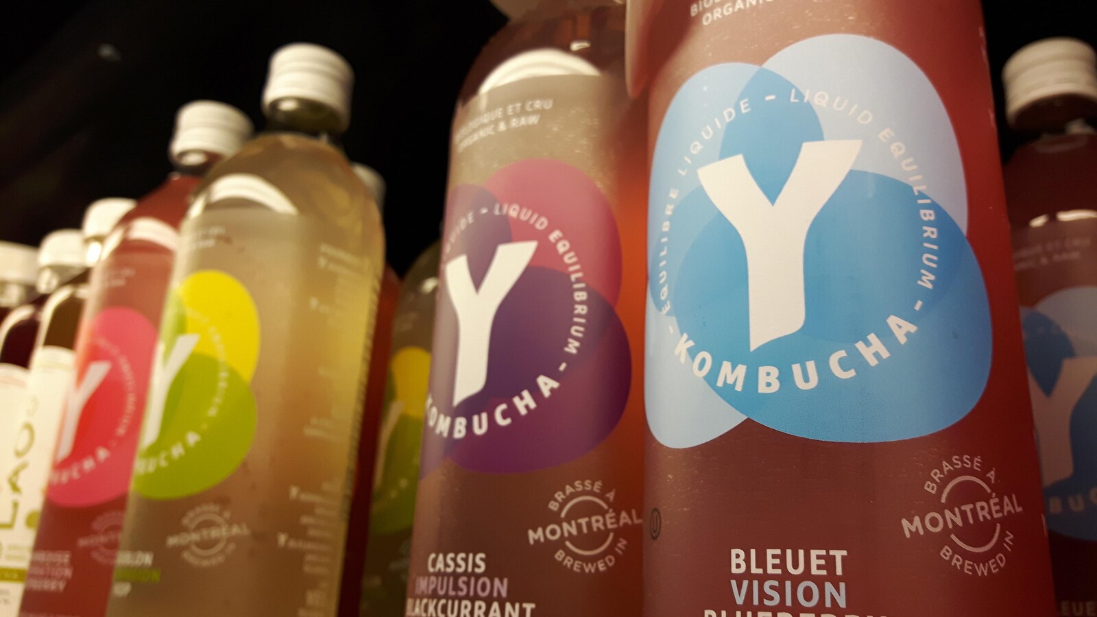 Des bouteilles de kombucha