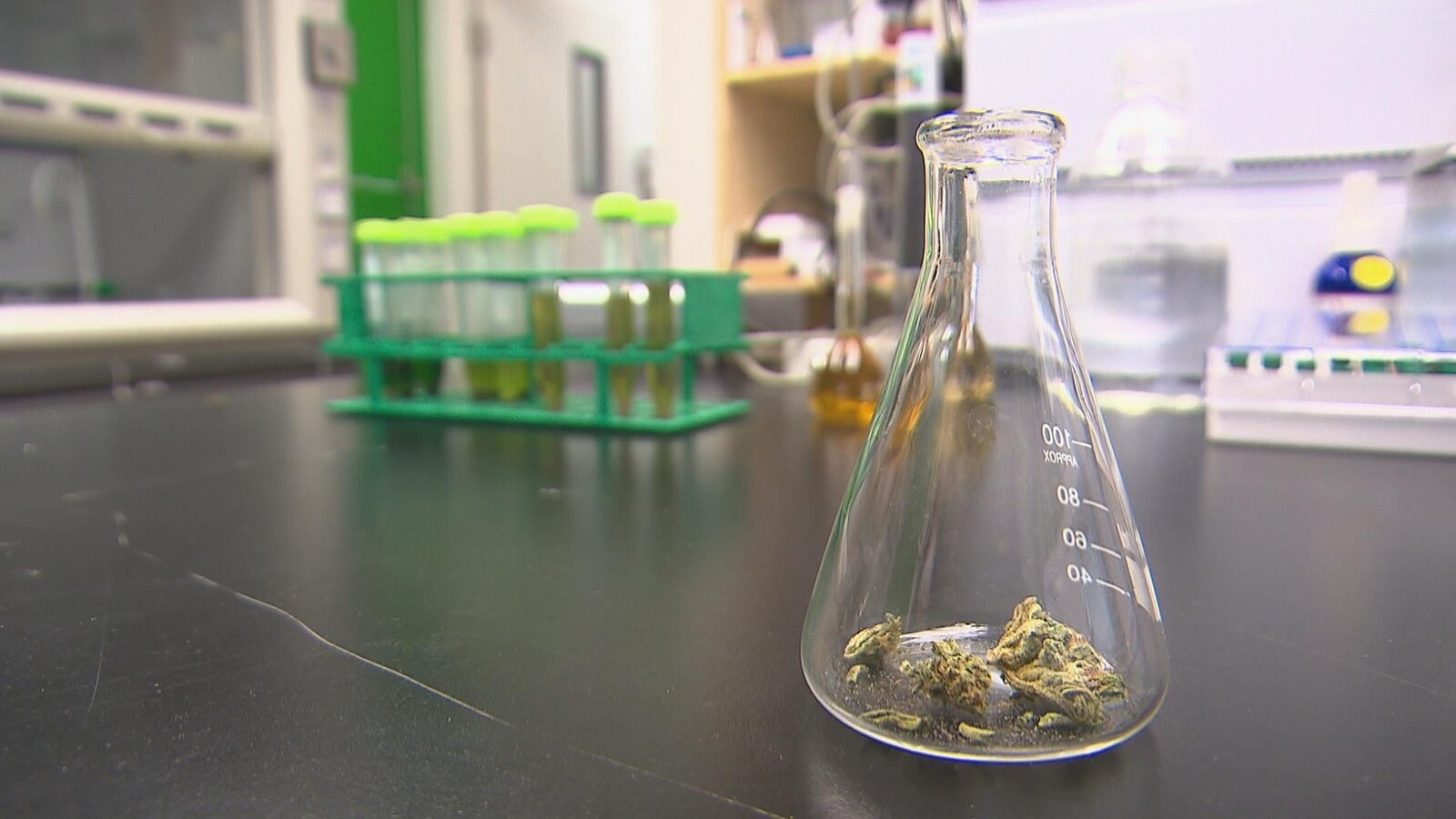 Du cannabis dans un contenant de laboratoire.
