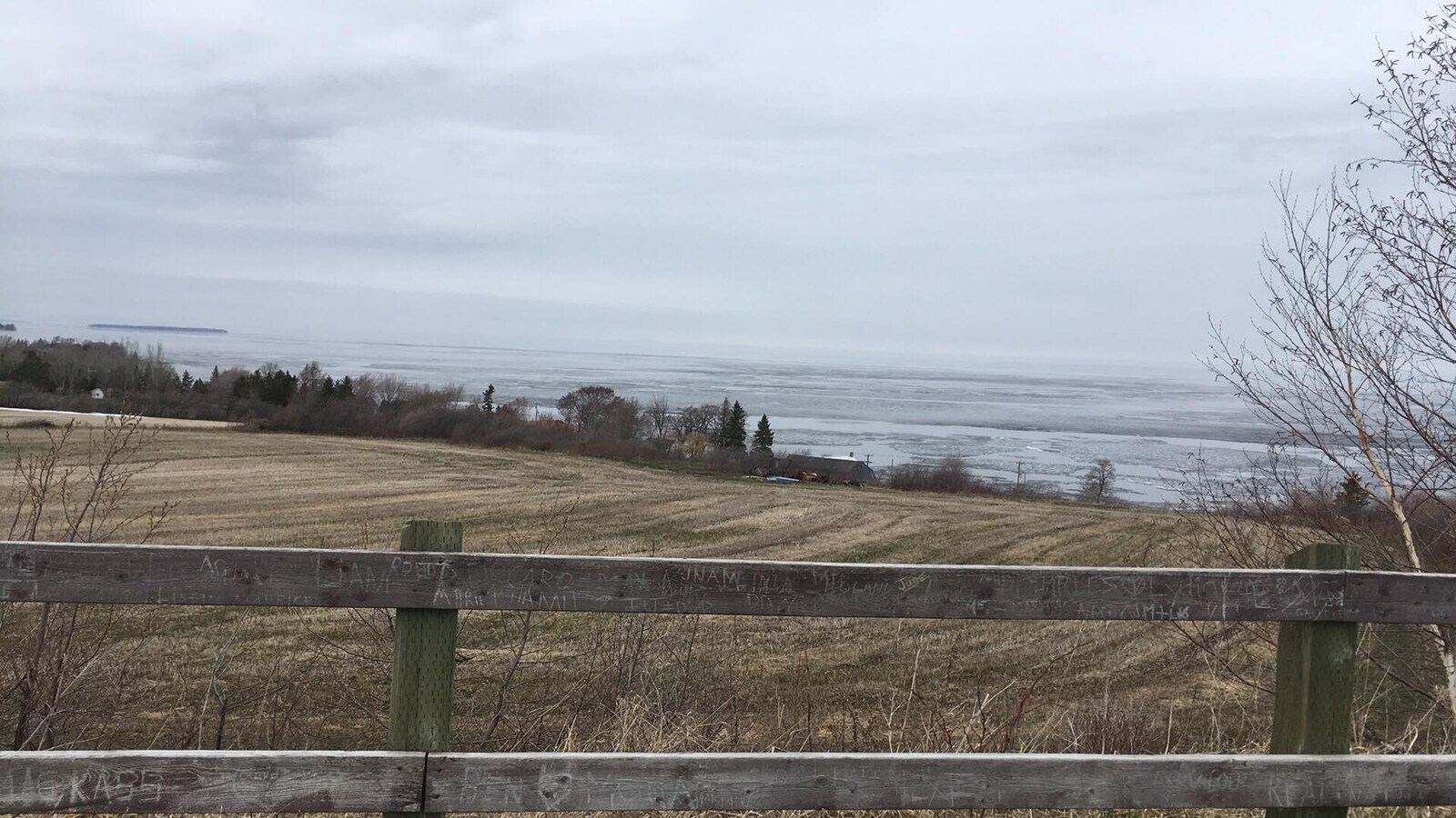Une vue du lac Saint-Jean. On voit une clôture, un champ et le lac au fond.