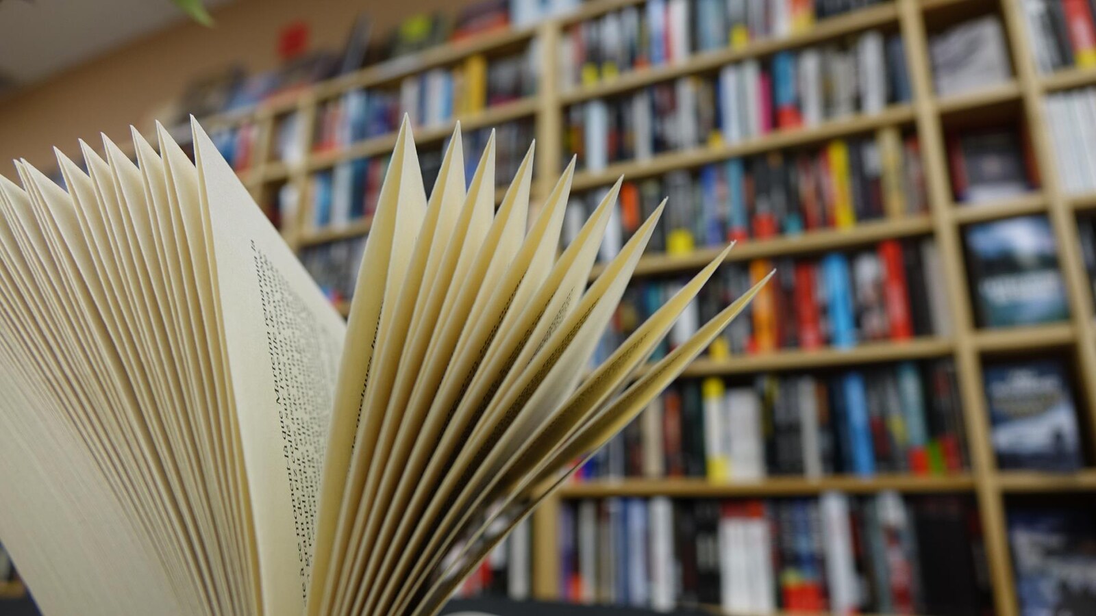 En avant-plan un livre ouvert, en arrière-plan une bibliothèque.
