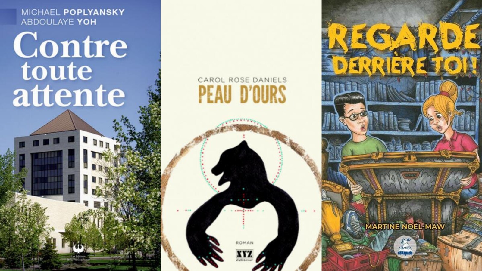 Les premières de couverture des trois livres en nomination dans la catégorie du Prix du livre français.