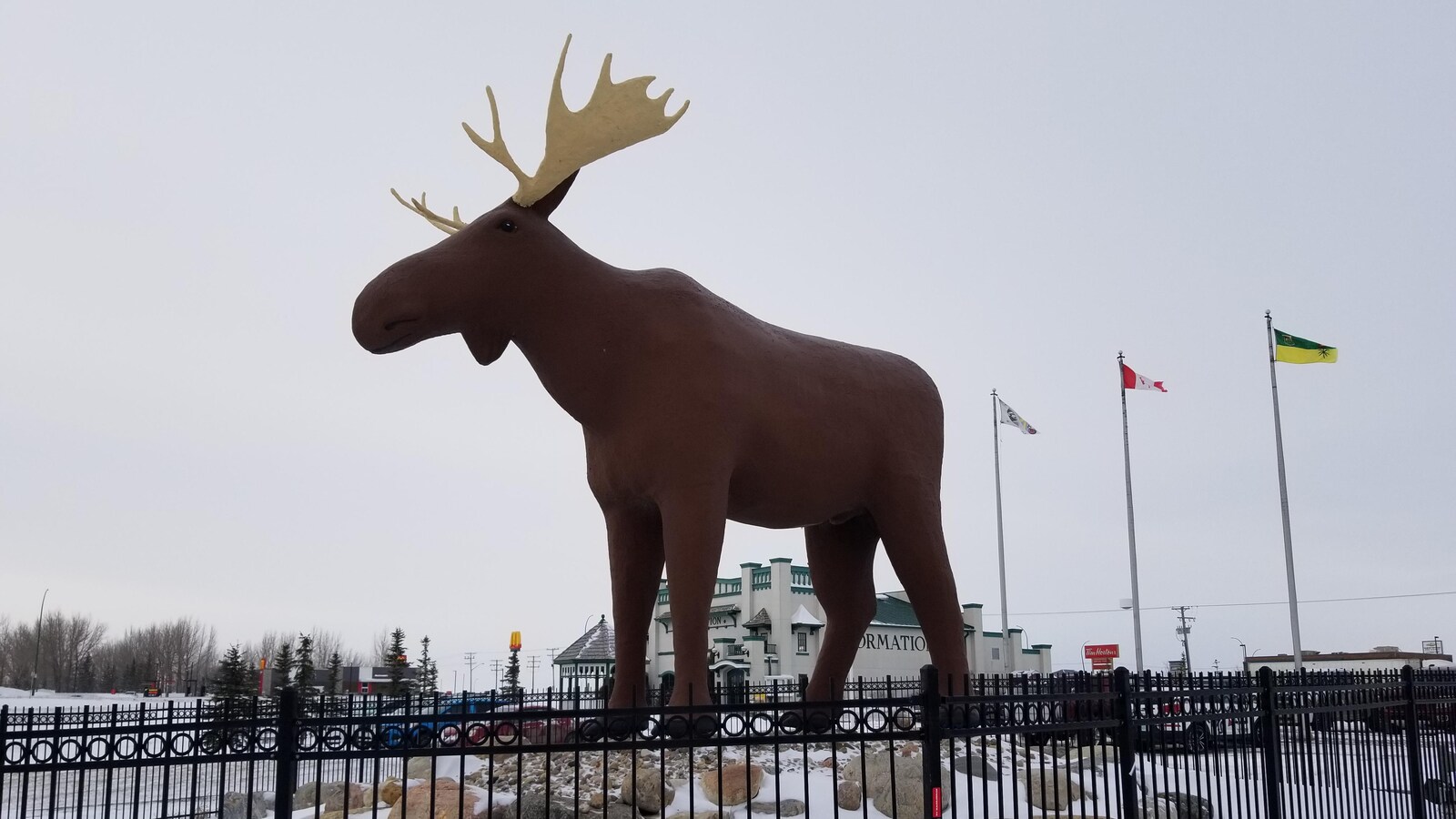 Mac l'Orignal dans son décor naturel en bordure de l'autoroute à Moose Jaw.