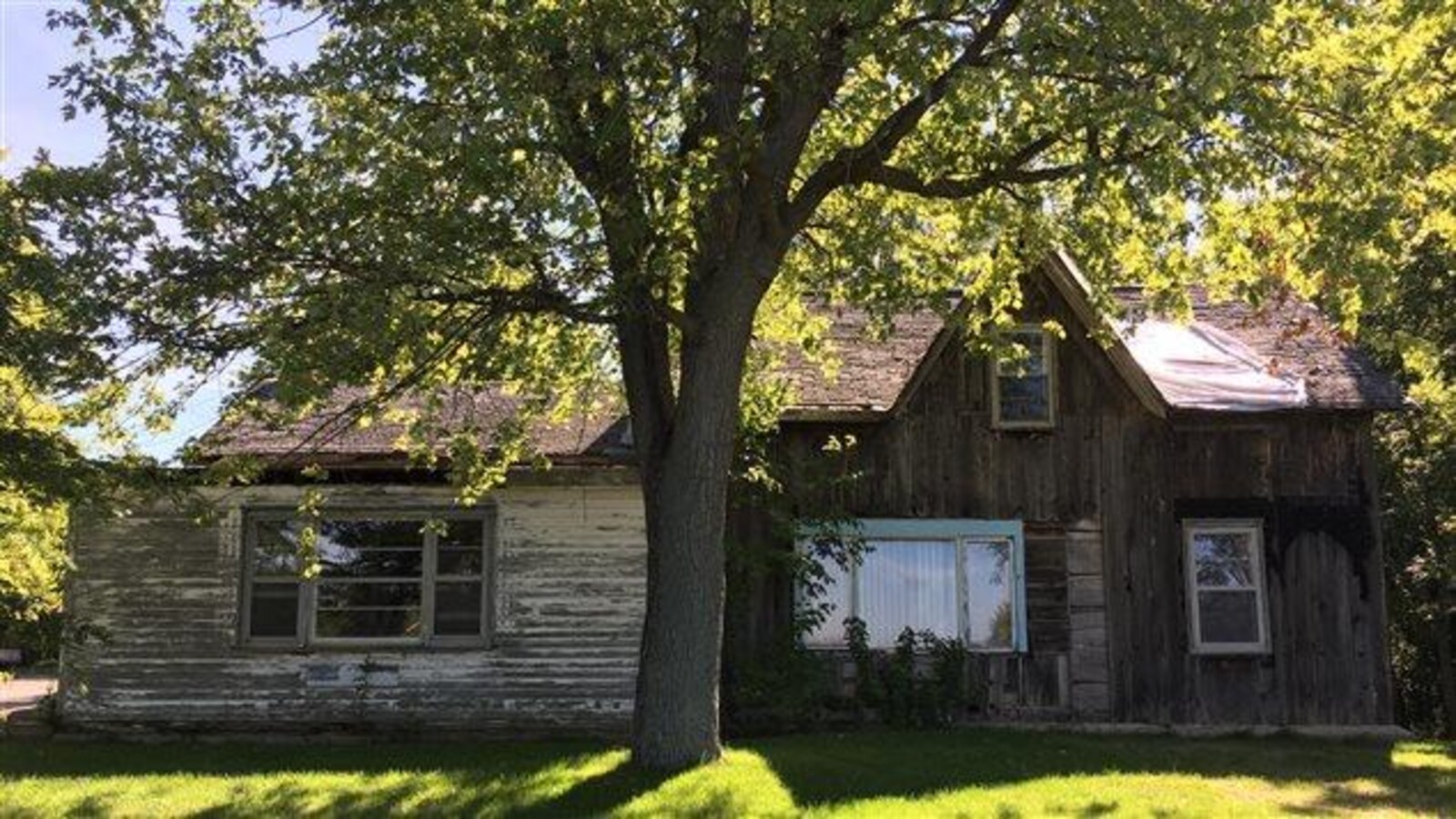 On voit la maison brune, blanche et grise derrière un arbre, ensoleillée.