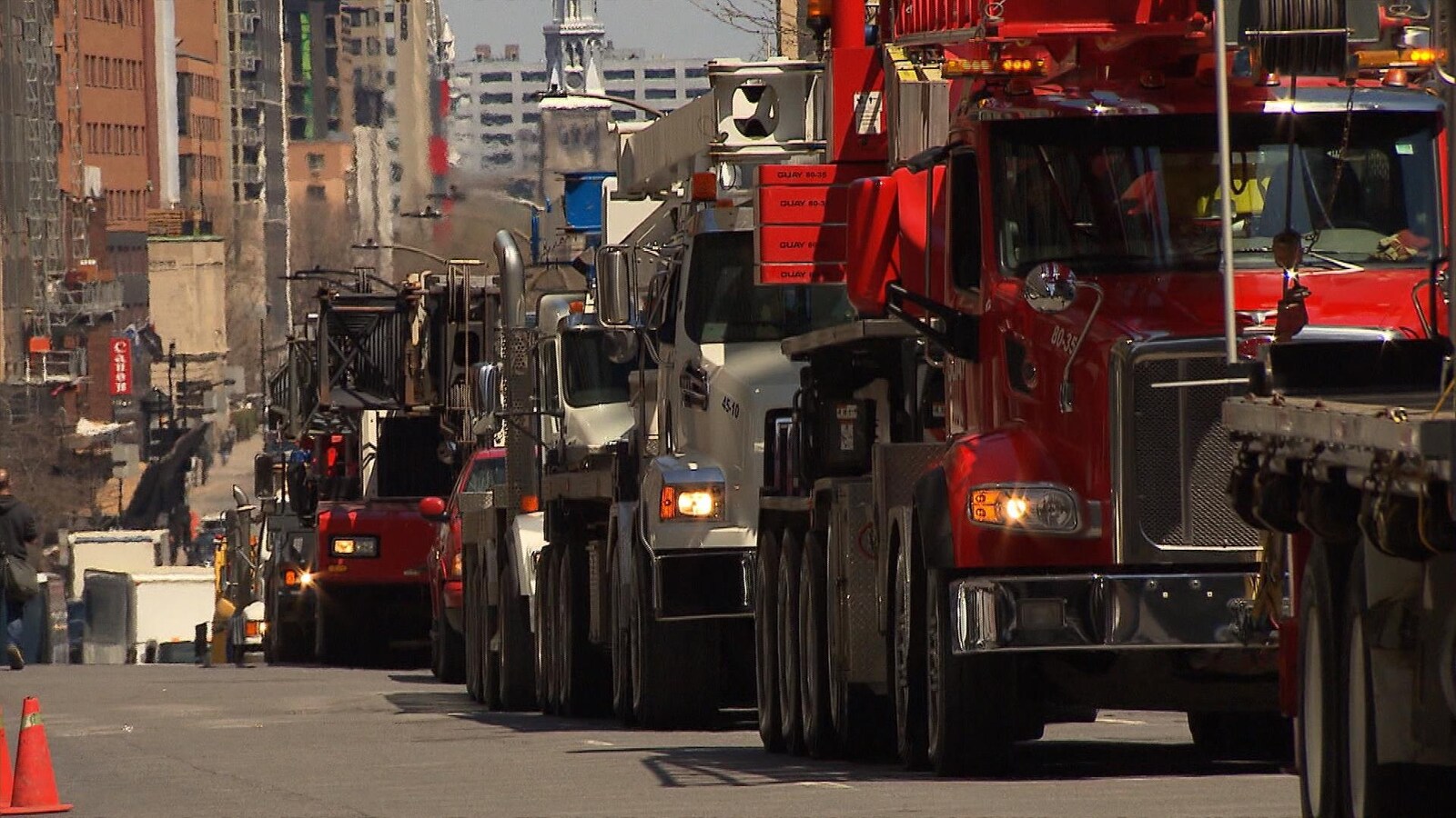 Des grues à la queue leu leu dans une rue