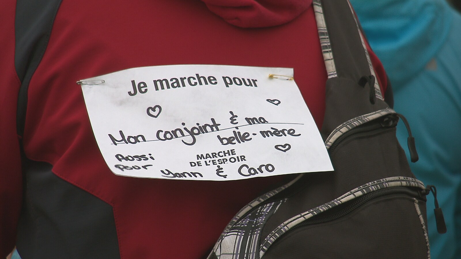 Une feuille accrochée sur un chandail.