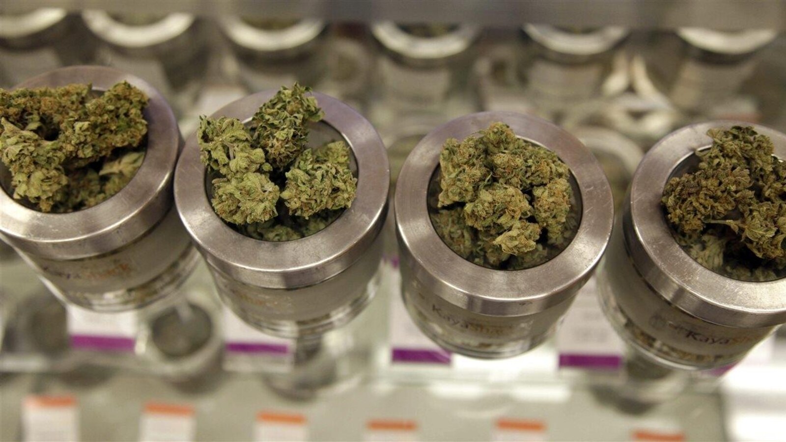 De la marijuana dans un comptoir de vente