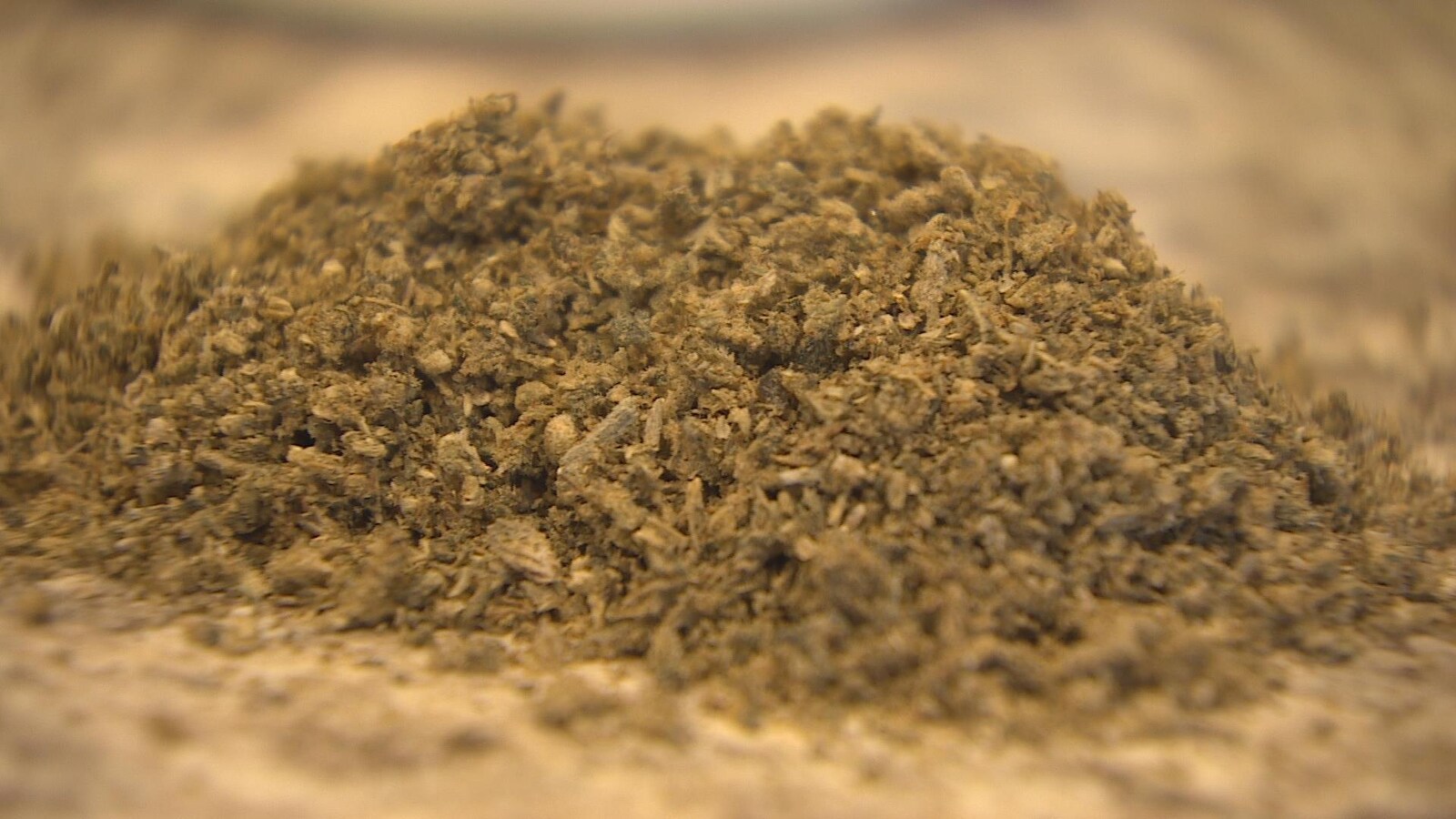 Marijuana séchée