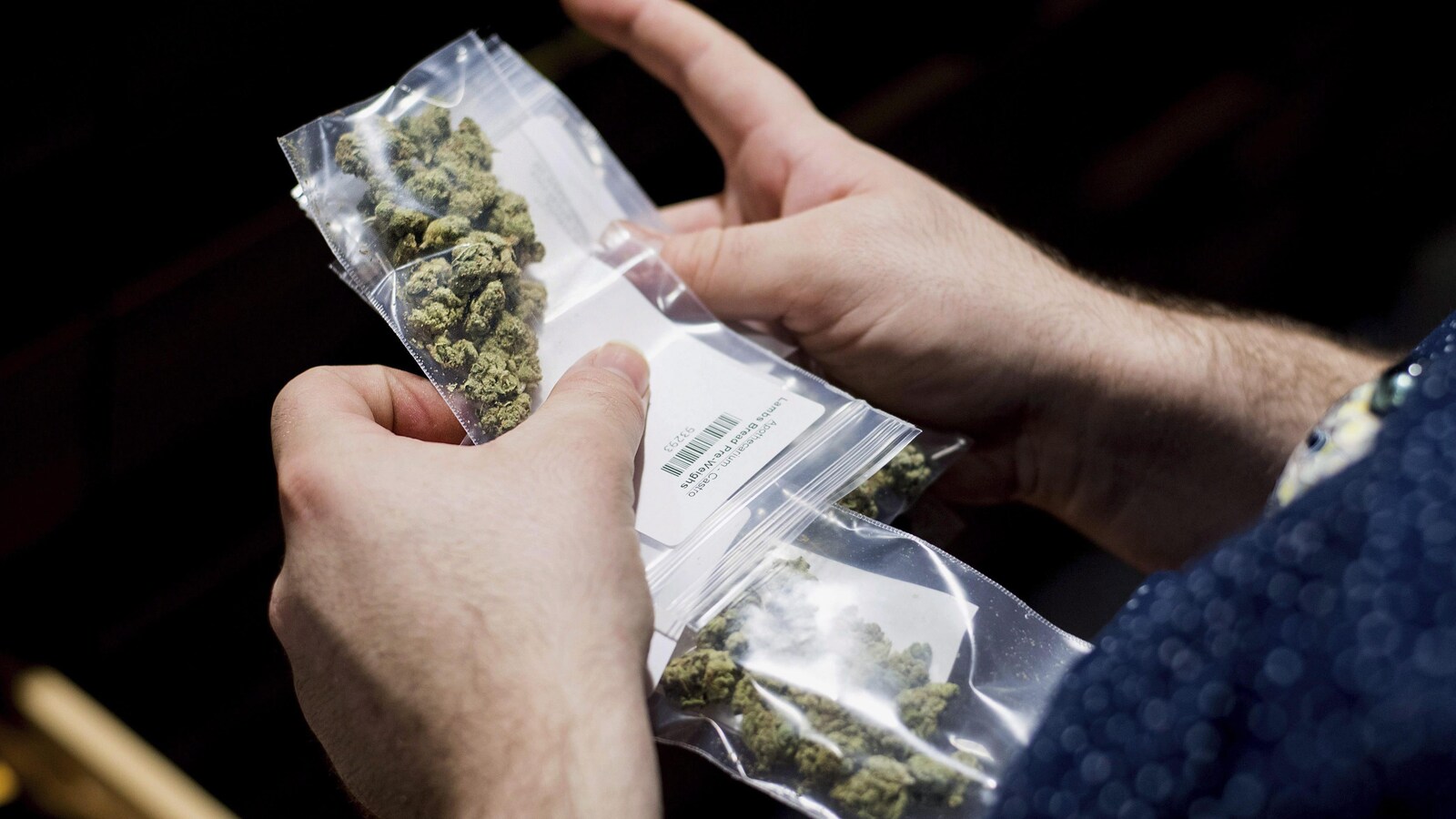 Une main qui tient de la marijuana