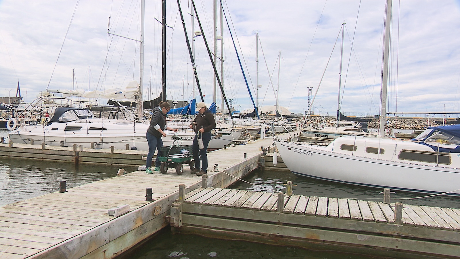 La marina de Rimouski